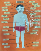 <p>20. MY BODY POSTER</p>