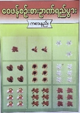 <p>33. CRITICAL THINKING CARD GAME (FLOWERS)</p>