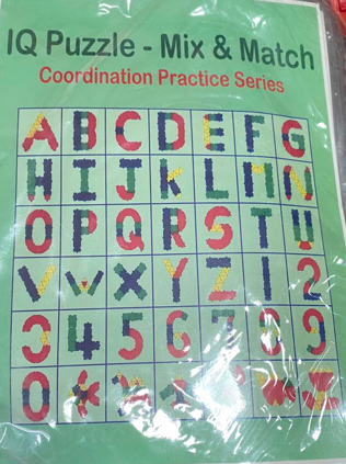 <p>55. IQ PUZZLES (PLASTICS)</p>